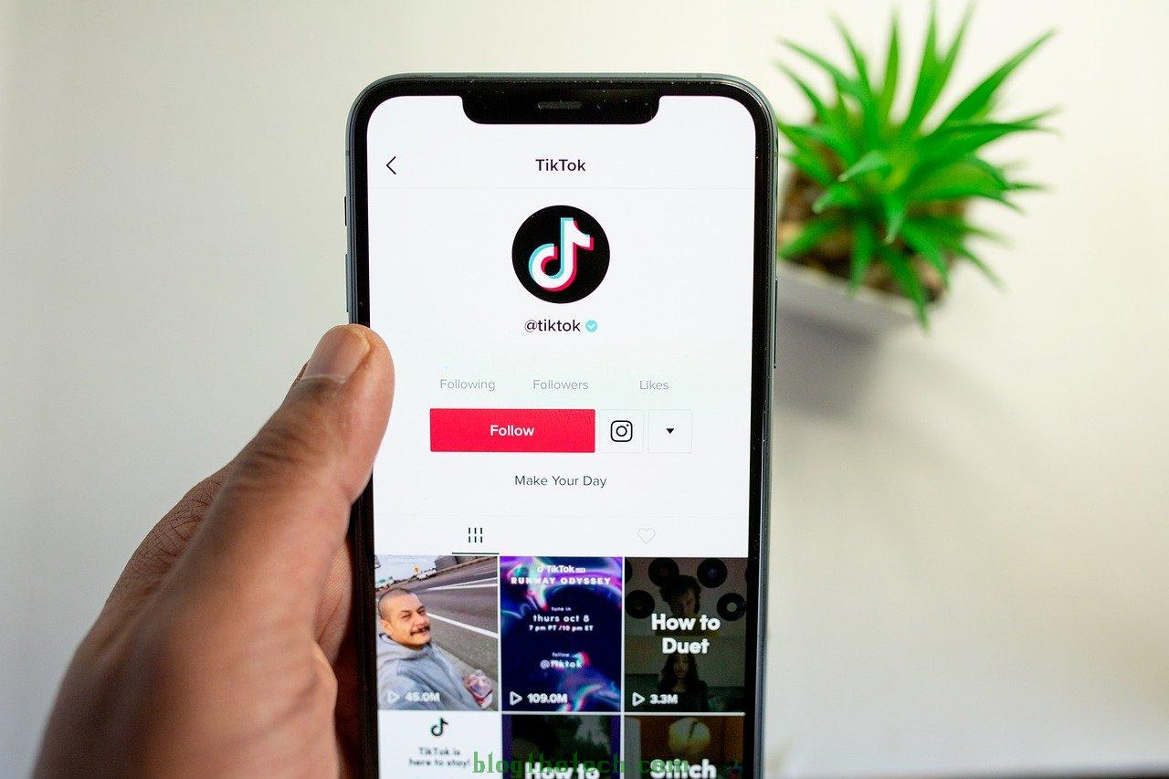 Top Tips and Tricks for Tracking Your TikTok Follower Growth