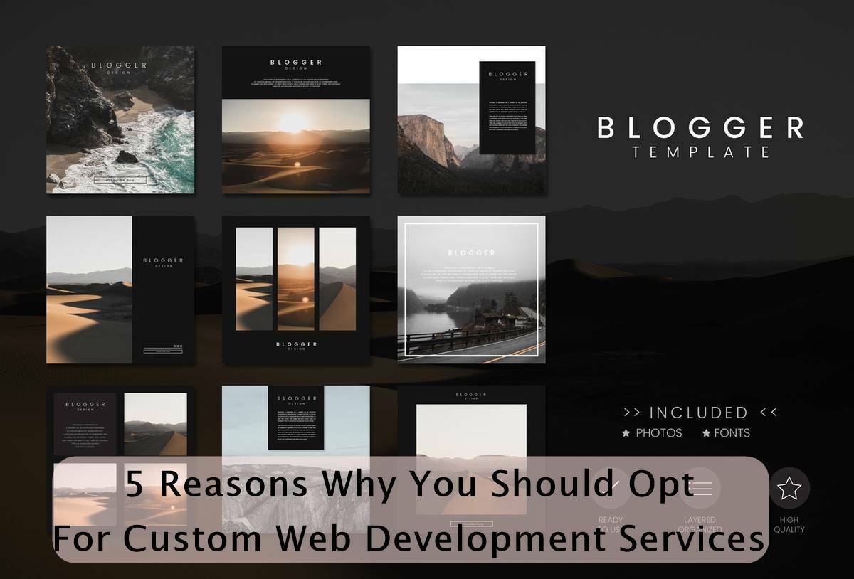 5 Reasons Why You Should Opt For Custom Web Development Services