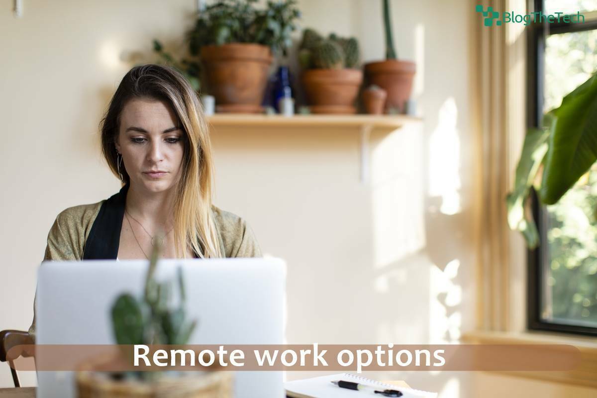 Remote work options
