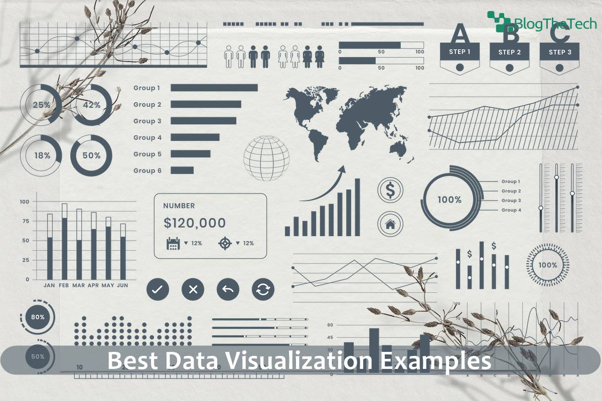 Best Data Visualization Examples