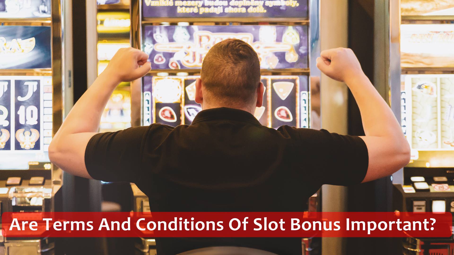 Are Terms And Conditions Of Slot Bonus Important?