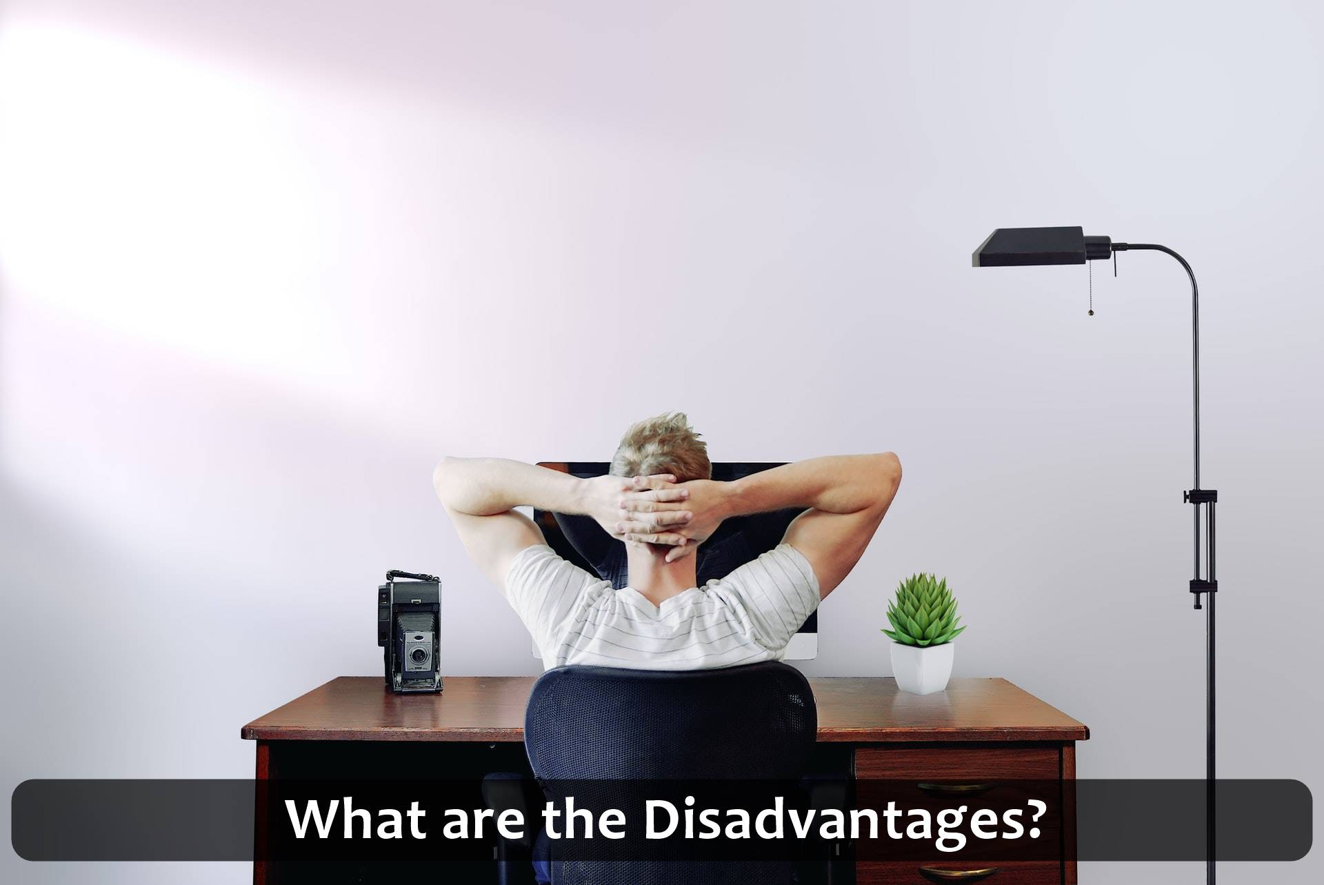 What are the Disadvantages?