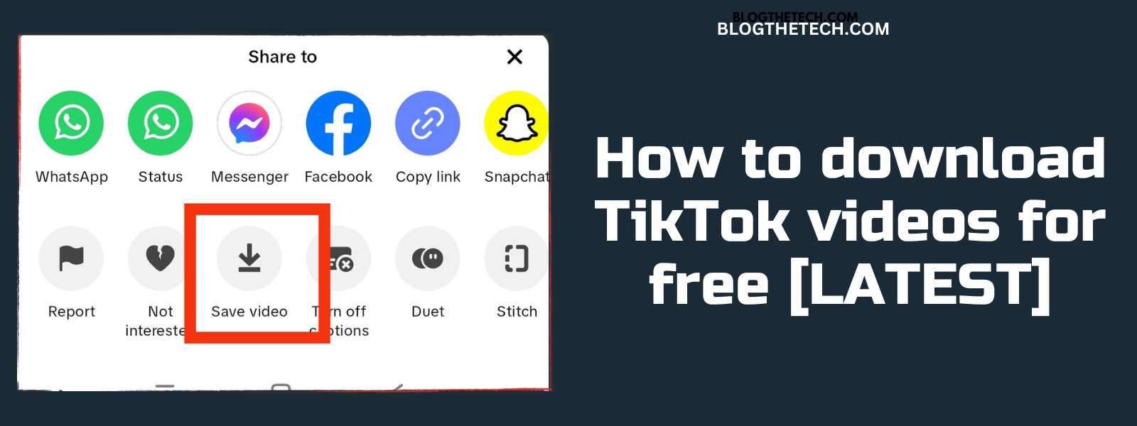Download TikTok Videos For Free
