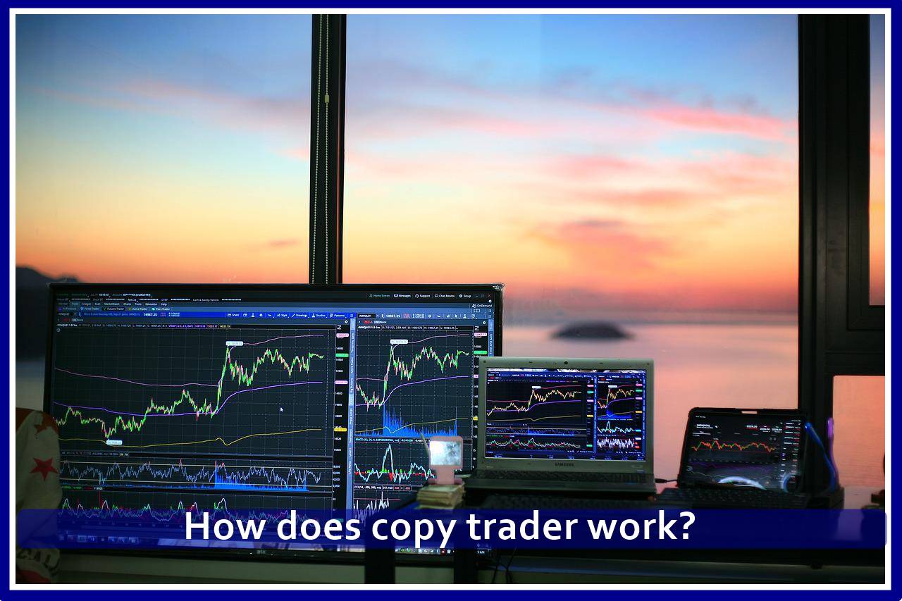 How does copy trader work