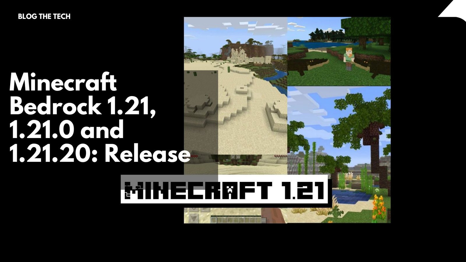 Descarga las versiones 1.21 y 1.21.0 de Minecraft: observa una