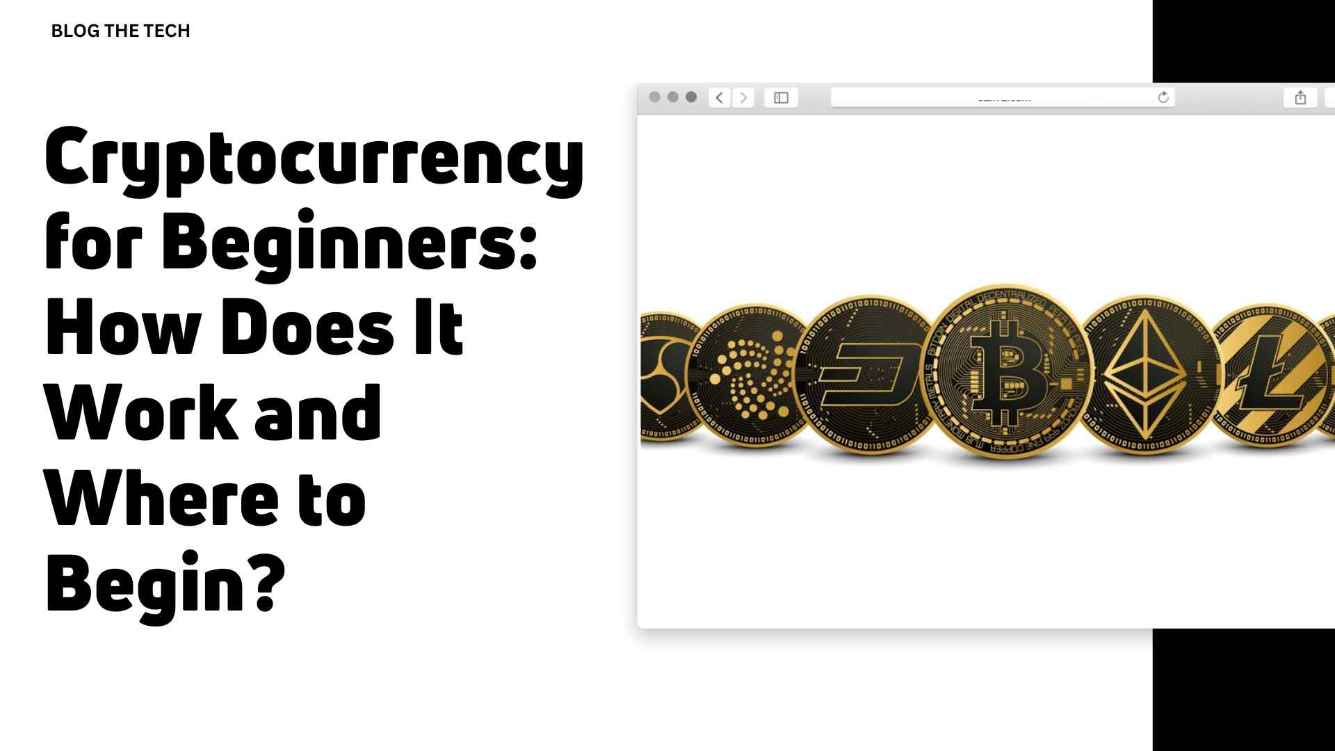 Cryptocurrency for Beginners: How Does It Work and Where to Begin?