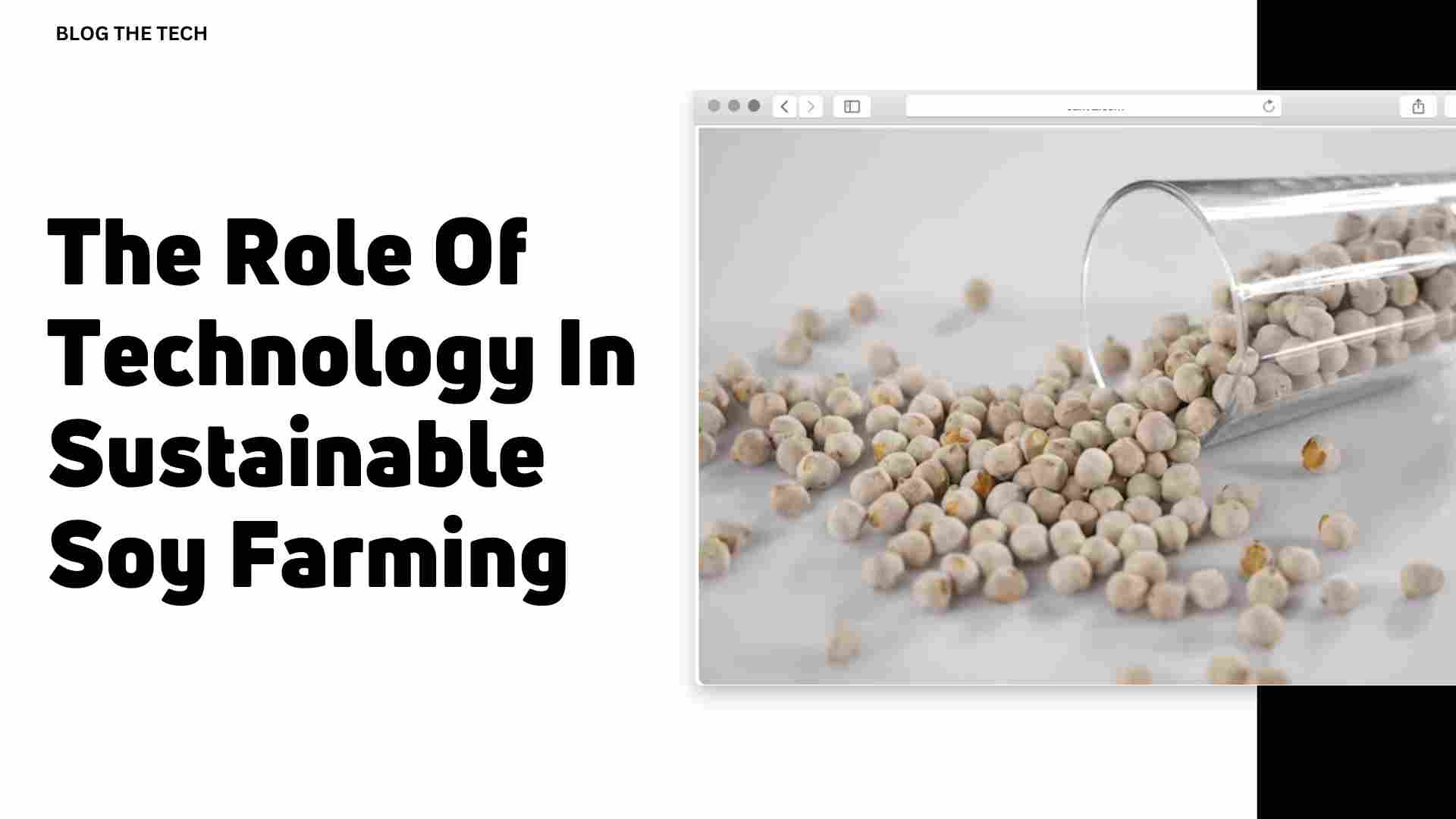 The Role Of Technology In Sustainable Soy Farming