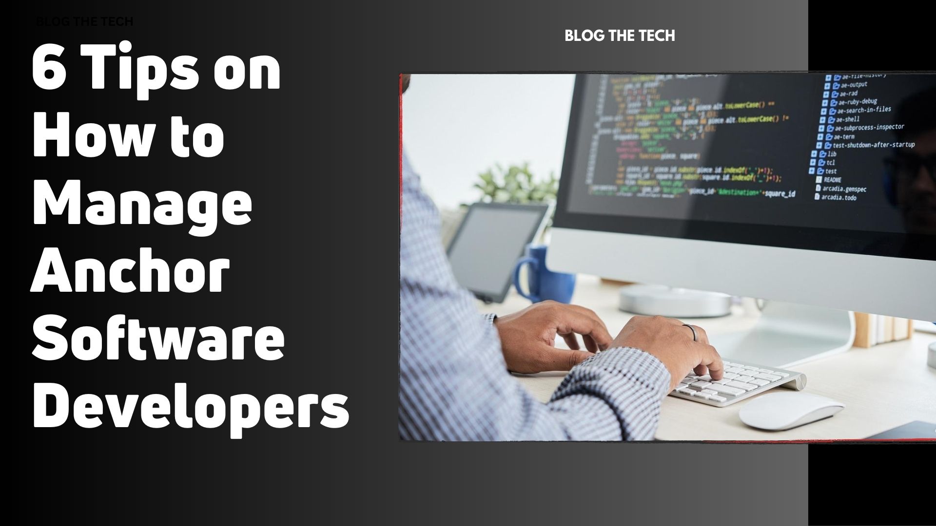 6 Tips on How to Manage Anchor Software Developers