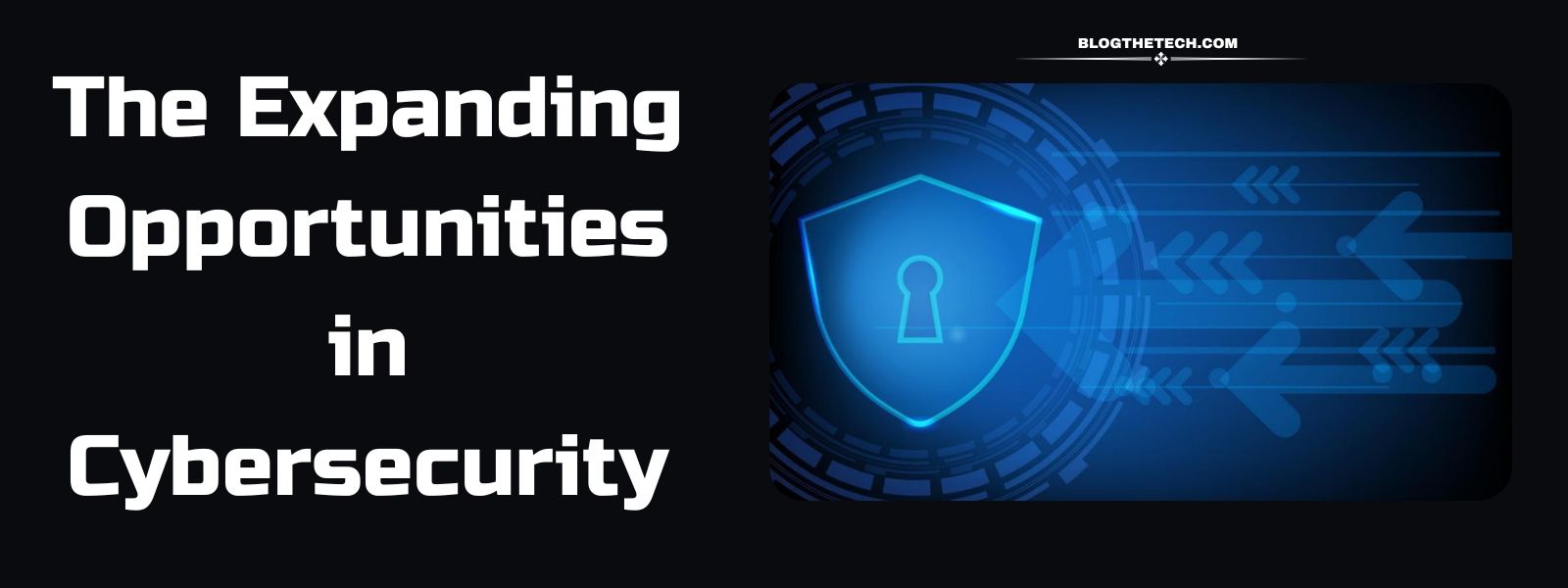 Opportunities In Cybersecurity